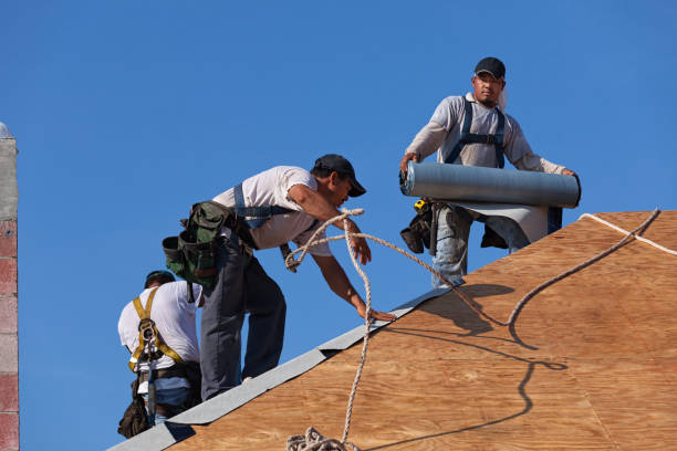 Best Roof Gutter Cleaning  in Cordele, GA